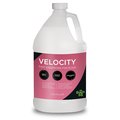 Froggy'S Fog Velocity Fast Dissipating Fog for Film and Photography - 1 Gallon DS-VE-1